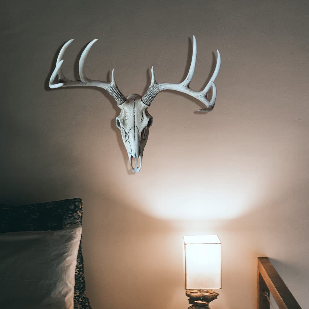 希少 Acq deer skull 　壁掛け　コンクリート製オマケ付き Amazon.com: DWK 